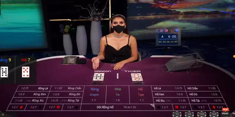 Cung cấp độc quyền nội dung game Rồng Hổ